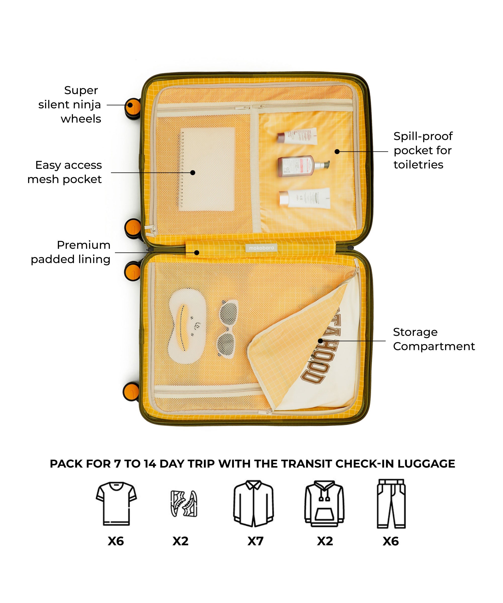 Transit Luggage - Check-in