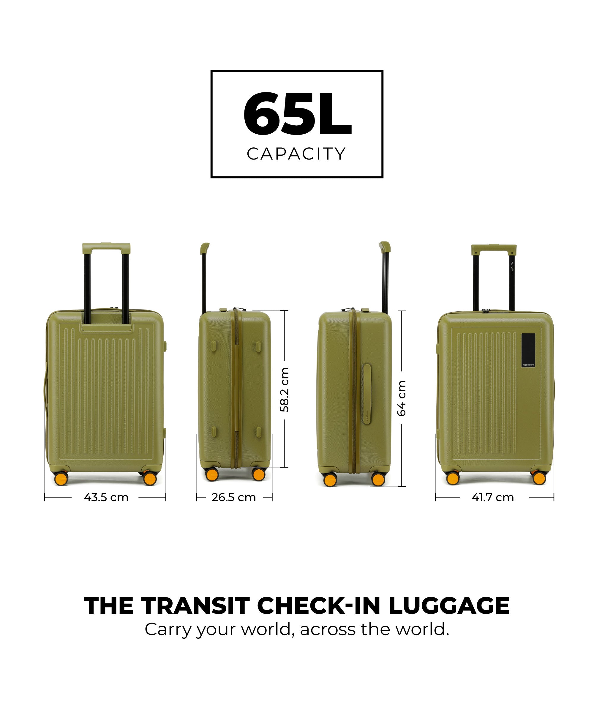 Transit Luggage - Check-in