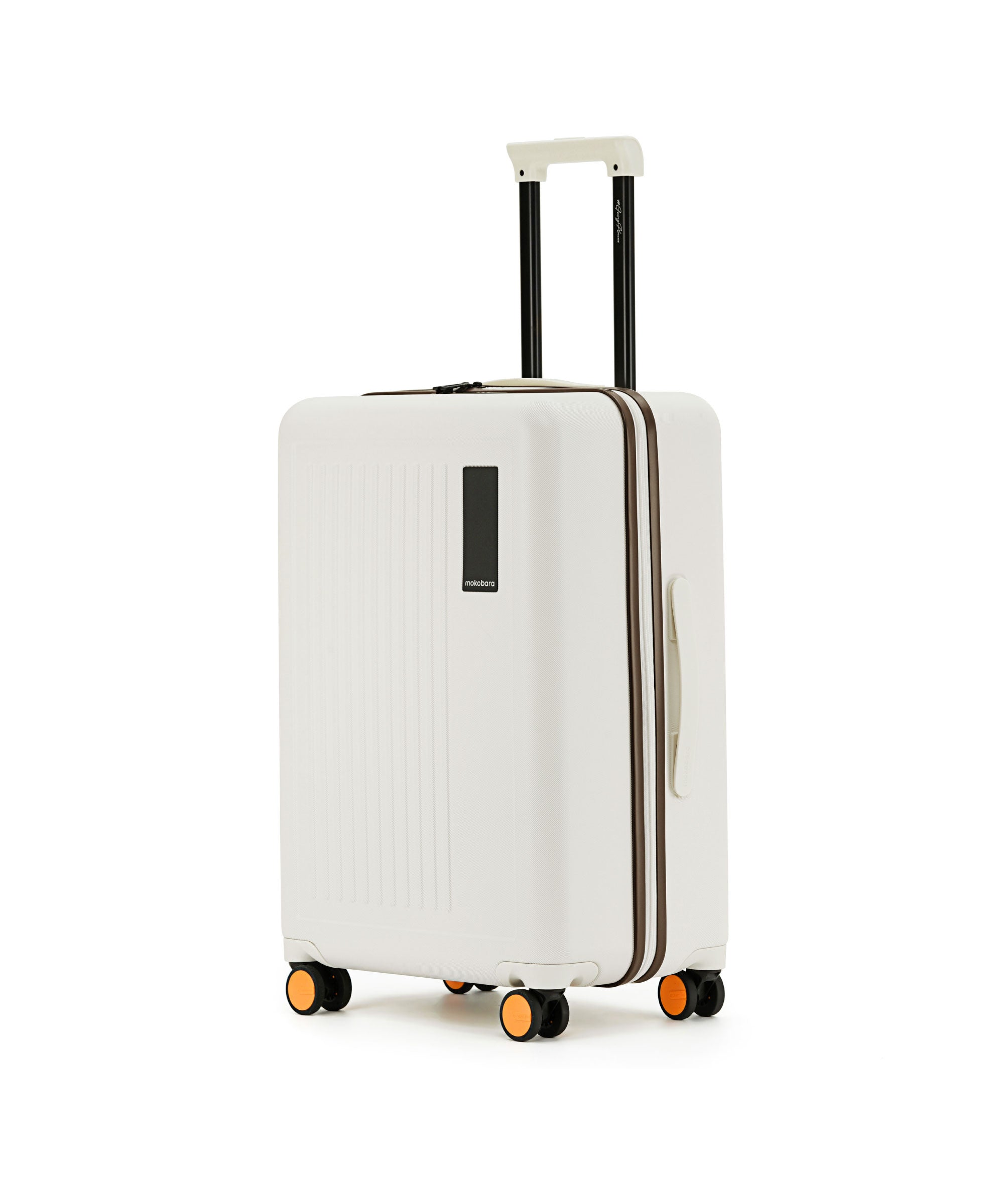 Transit Luggage - Check-in