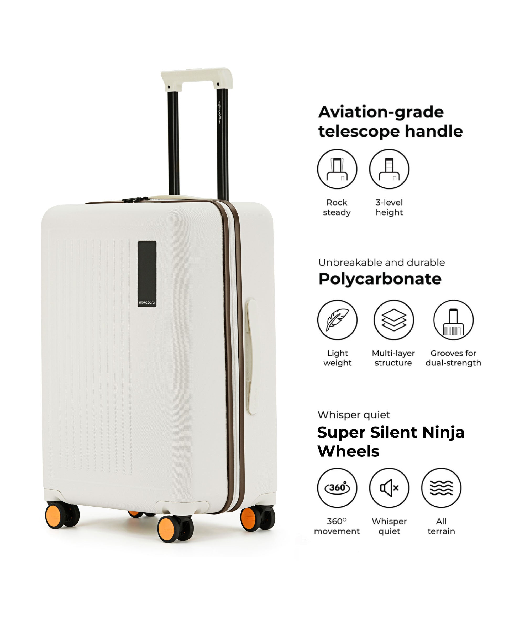 Transit Luggage - Check-in