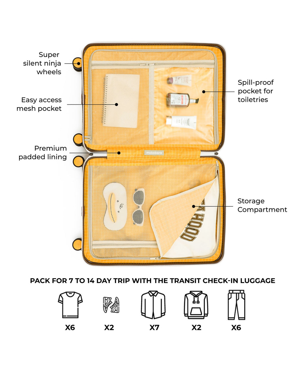 Transit Luggage - Check-in