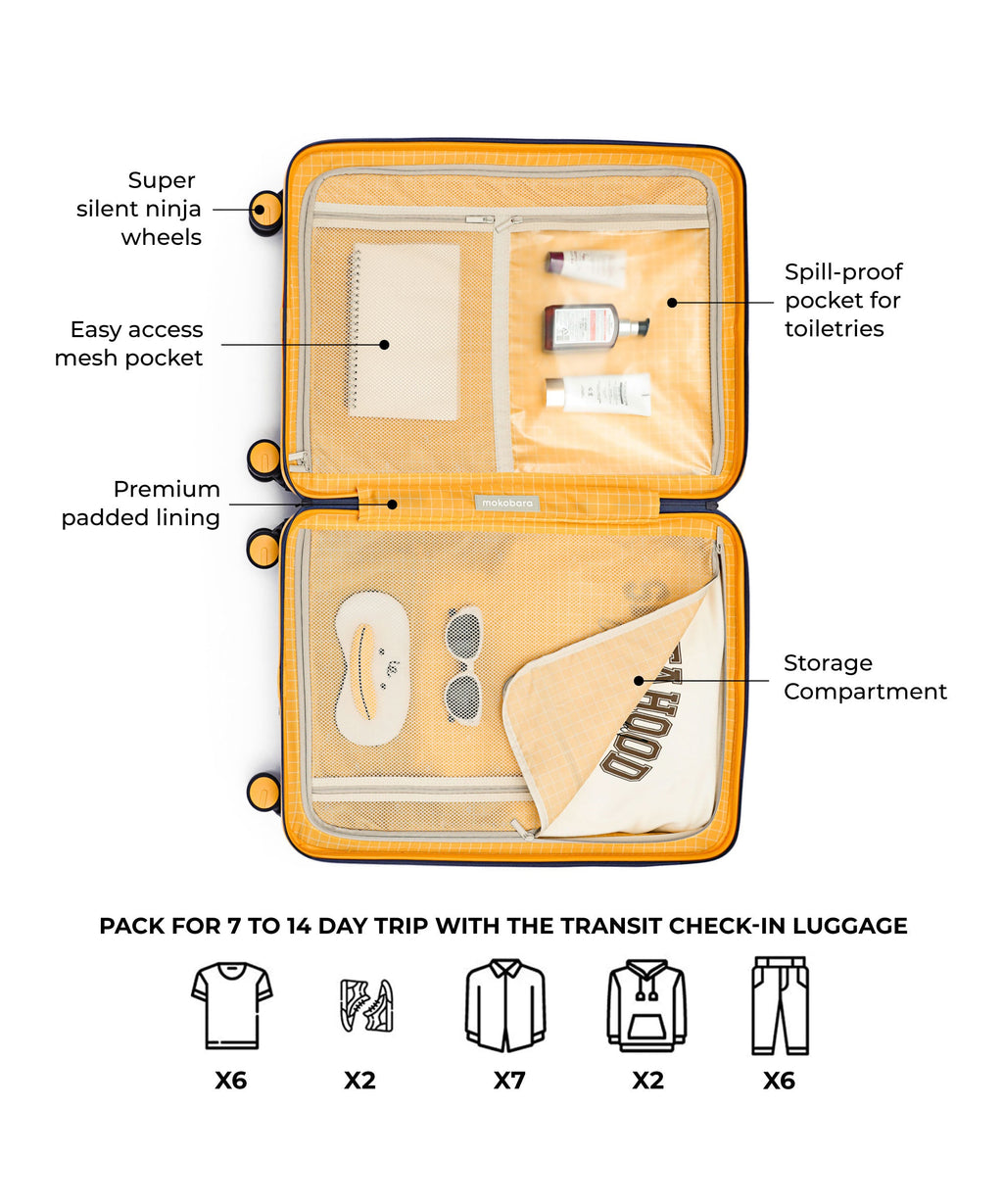 Transit Luggage - Check-in