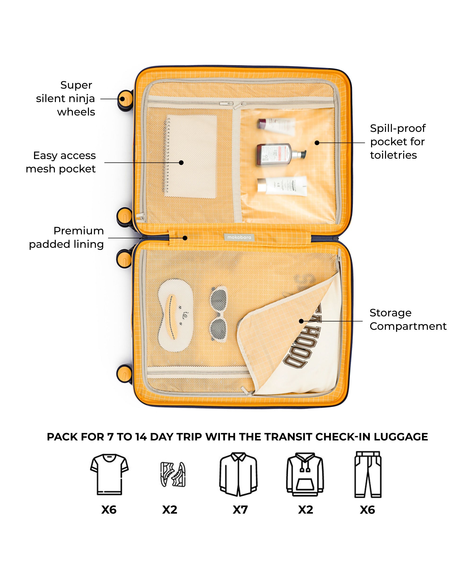 Transit Luggage - Check-in