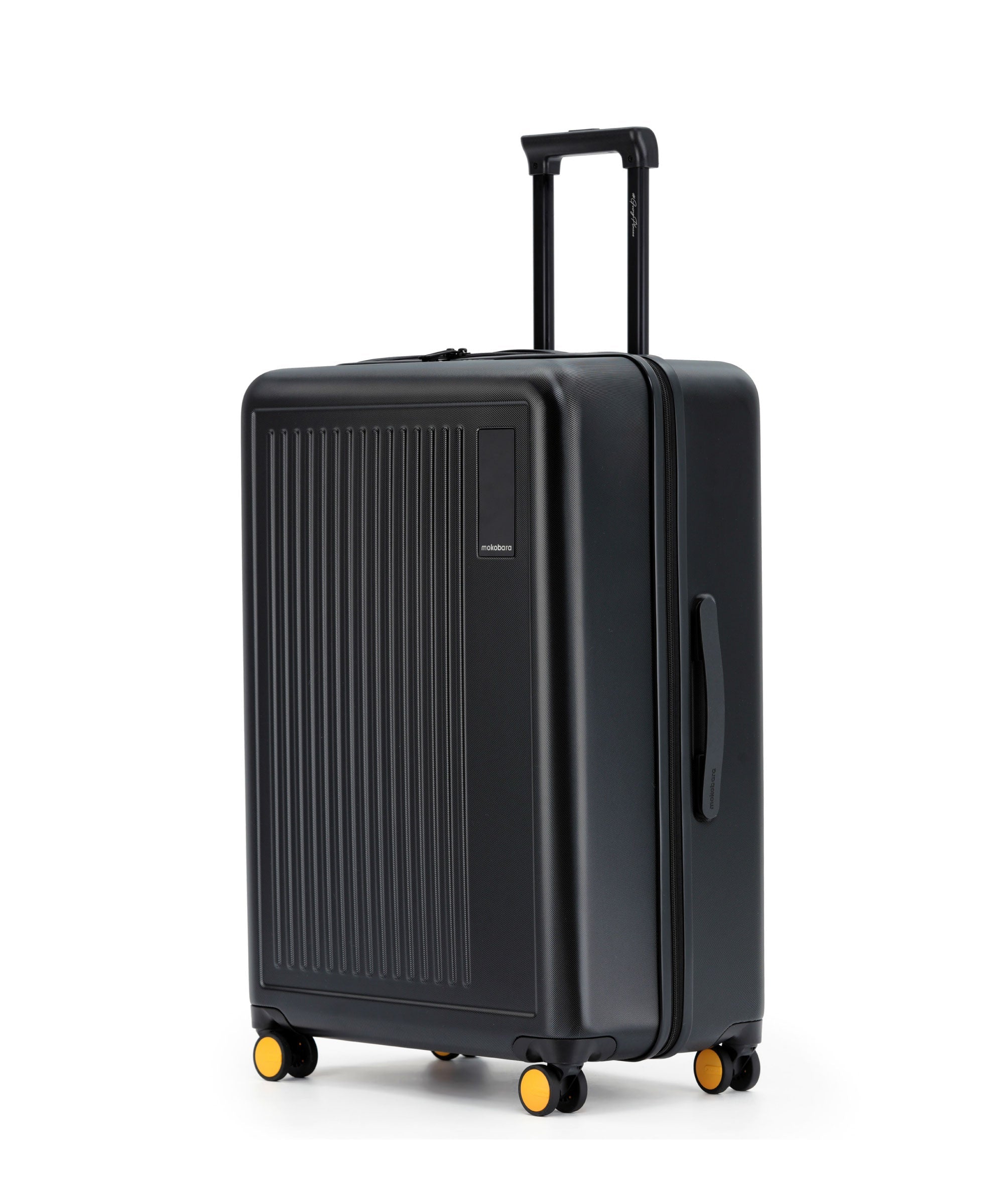Transit Luggage - Check-in Large