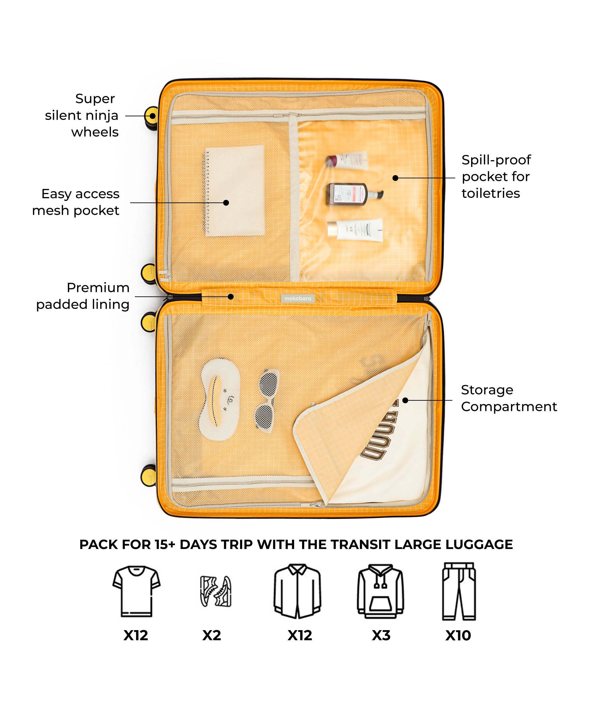 Transit Luggage - Check-in Large
