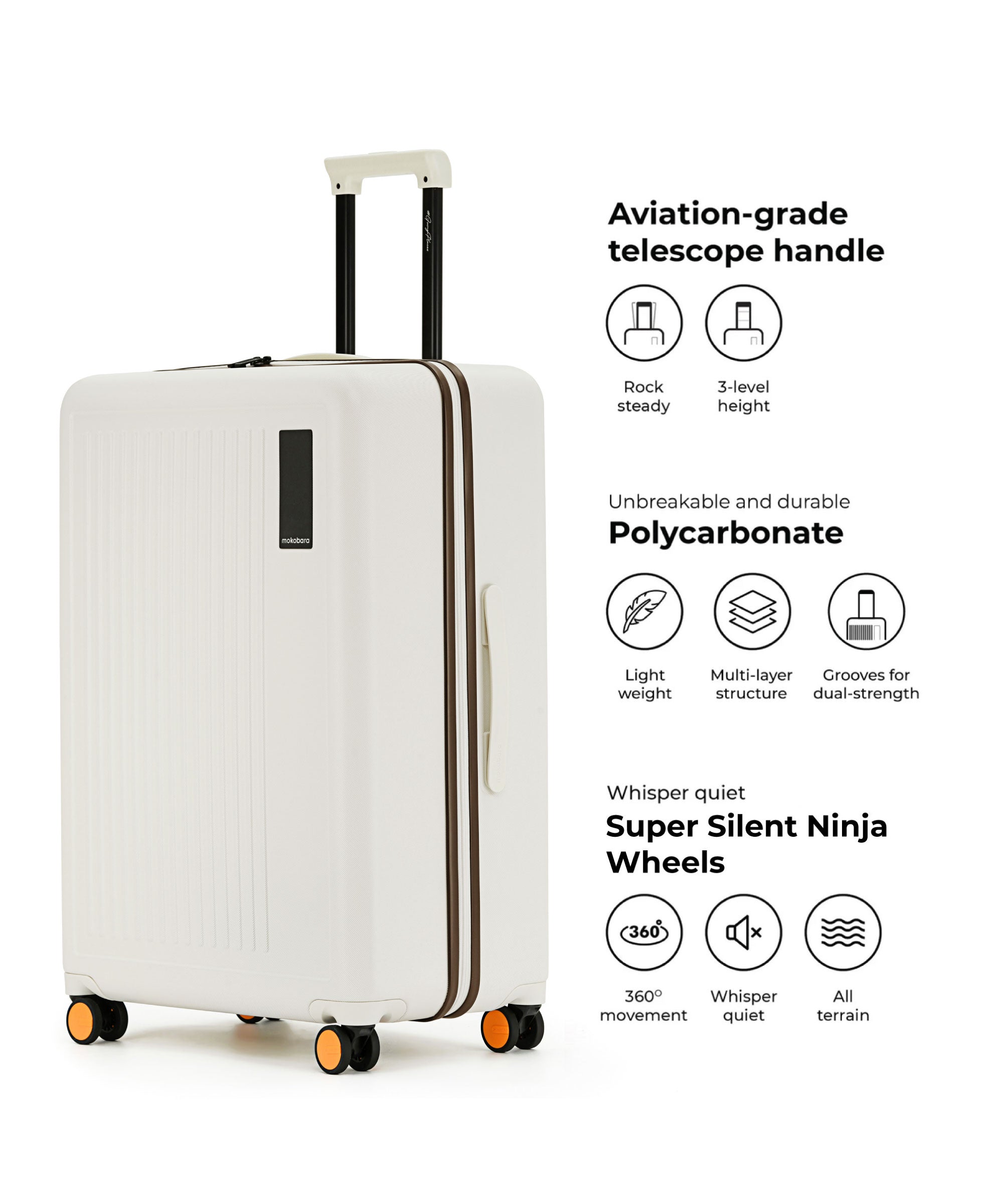Transit Luggage - Check-in Large