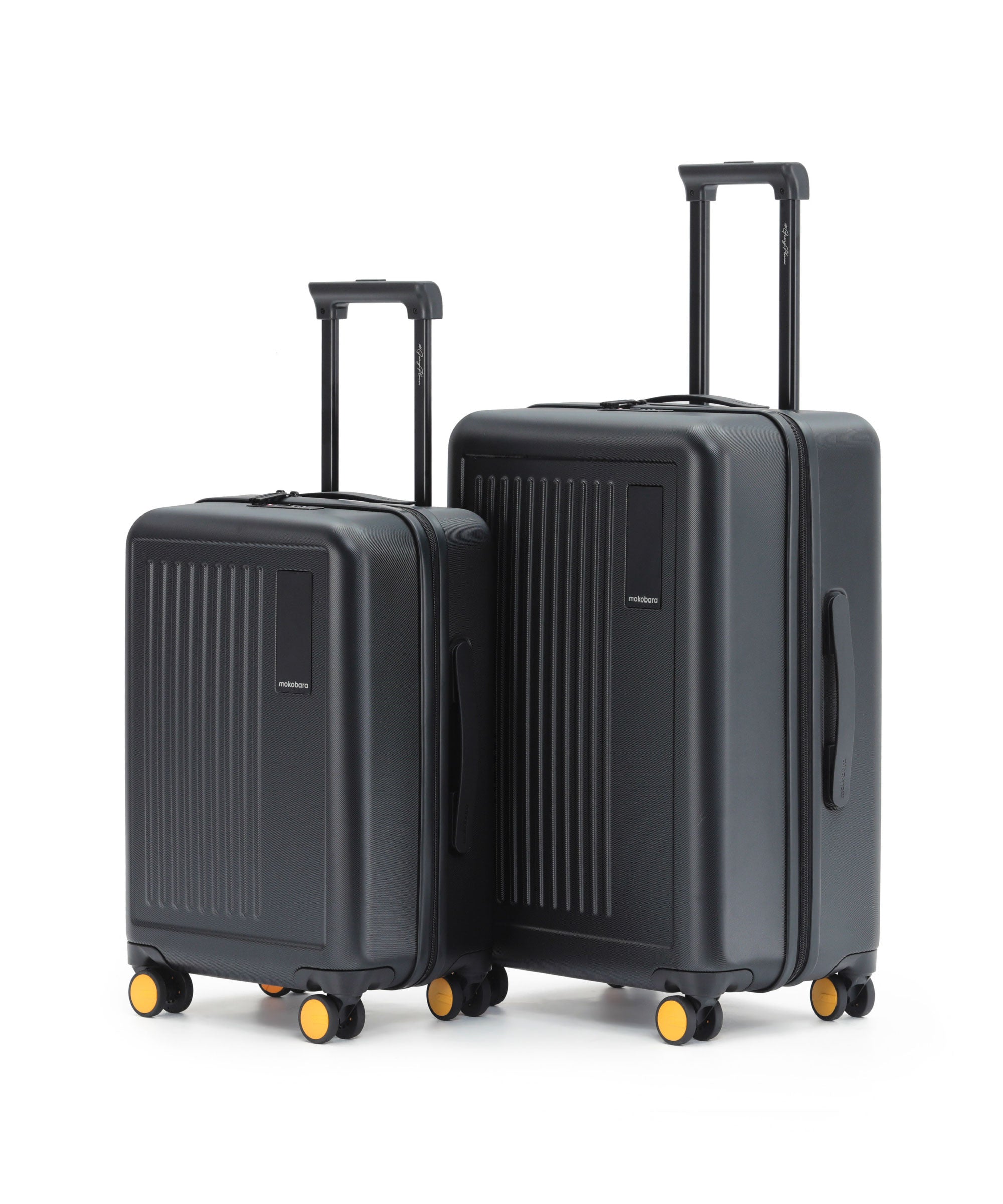 Transit Luggage - Set of 2