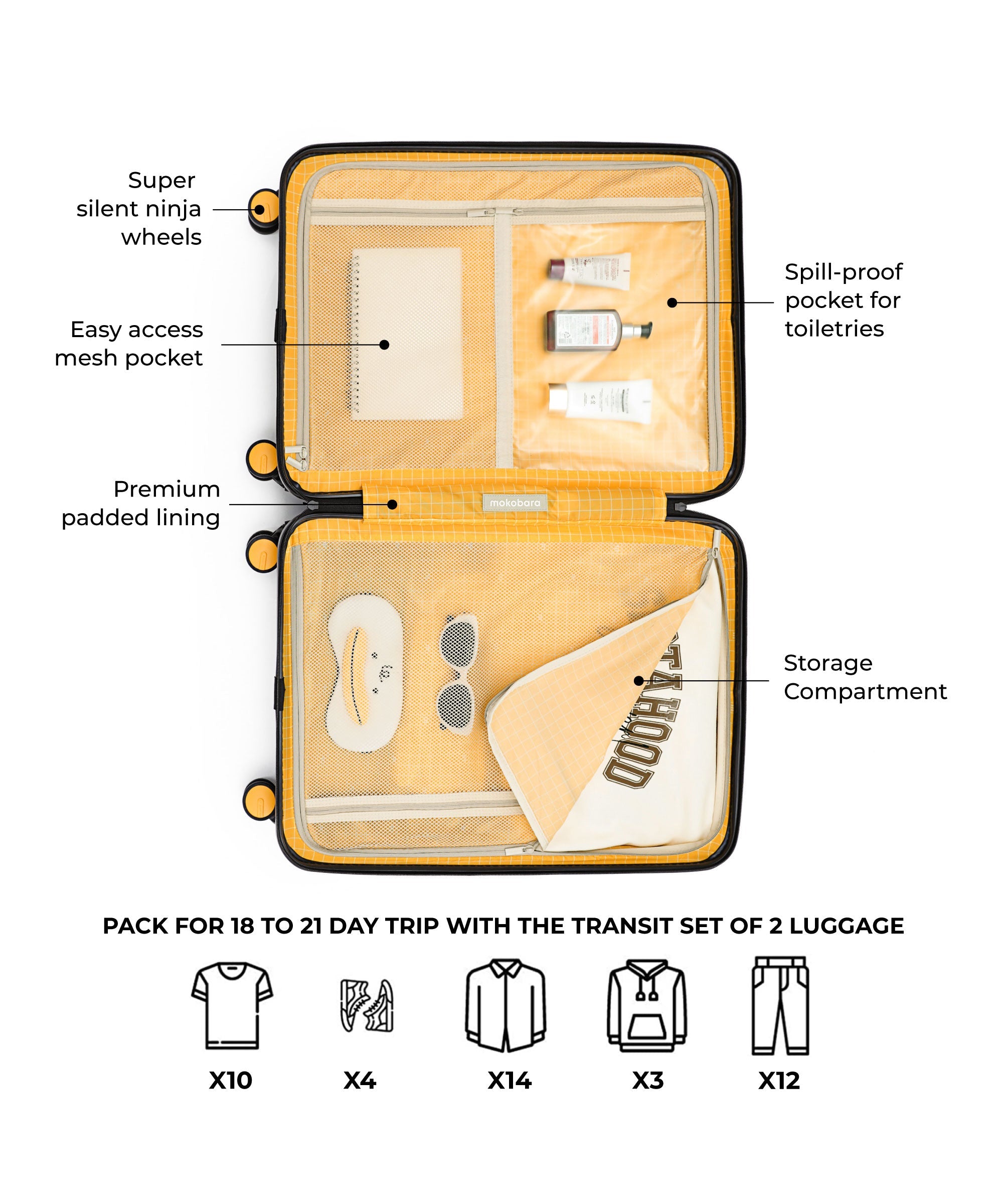 Transit Luggage - Set of 2