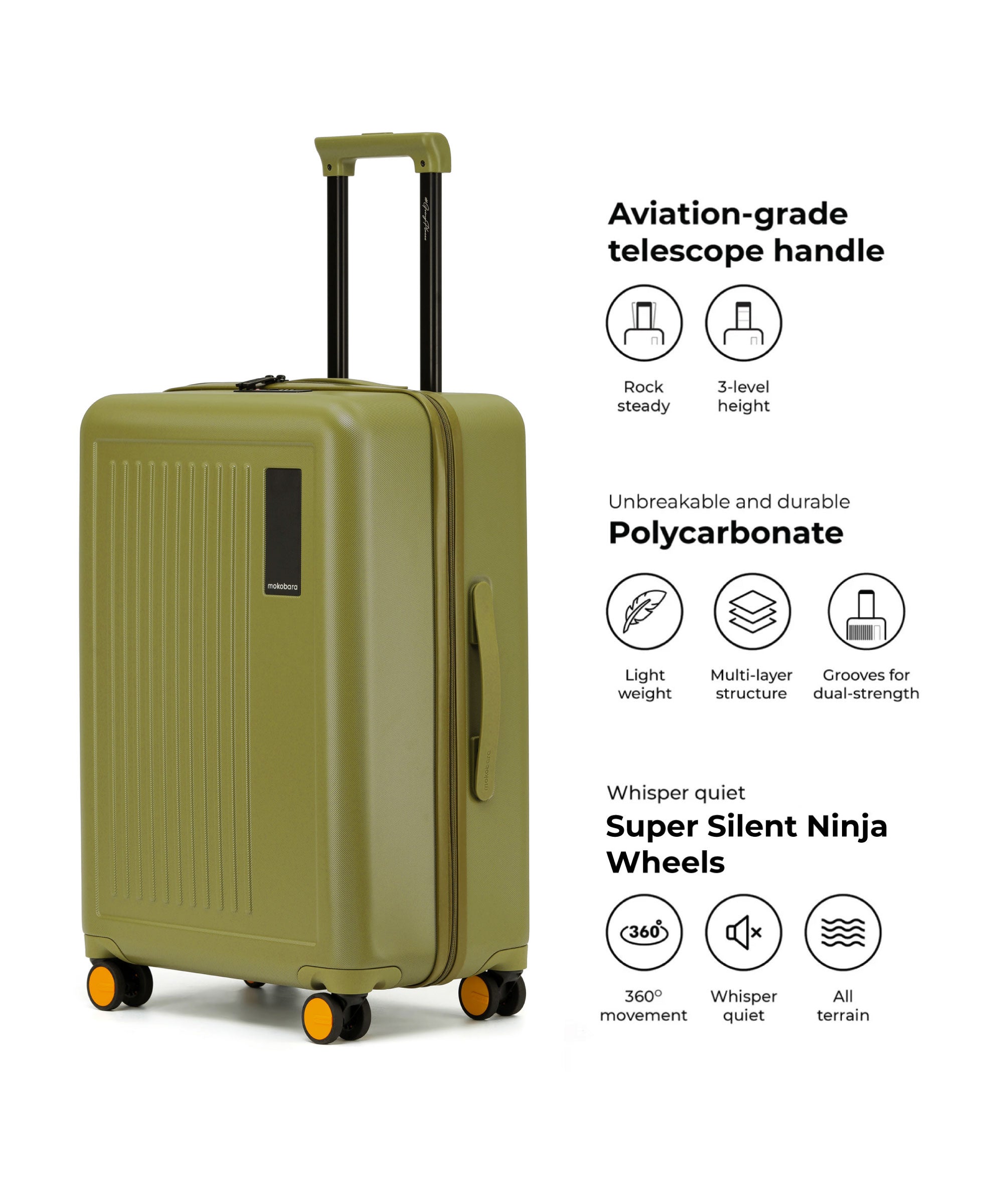 Transit Luggage - Set of 2