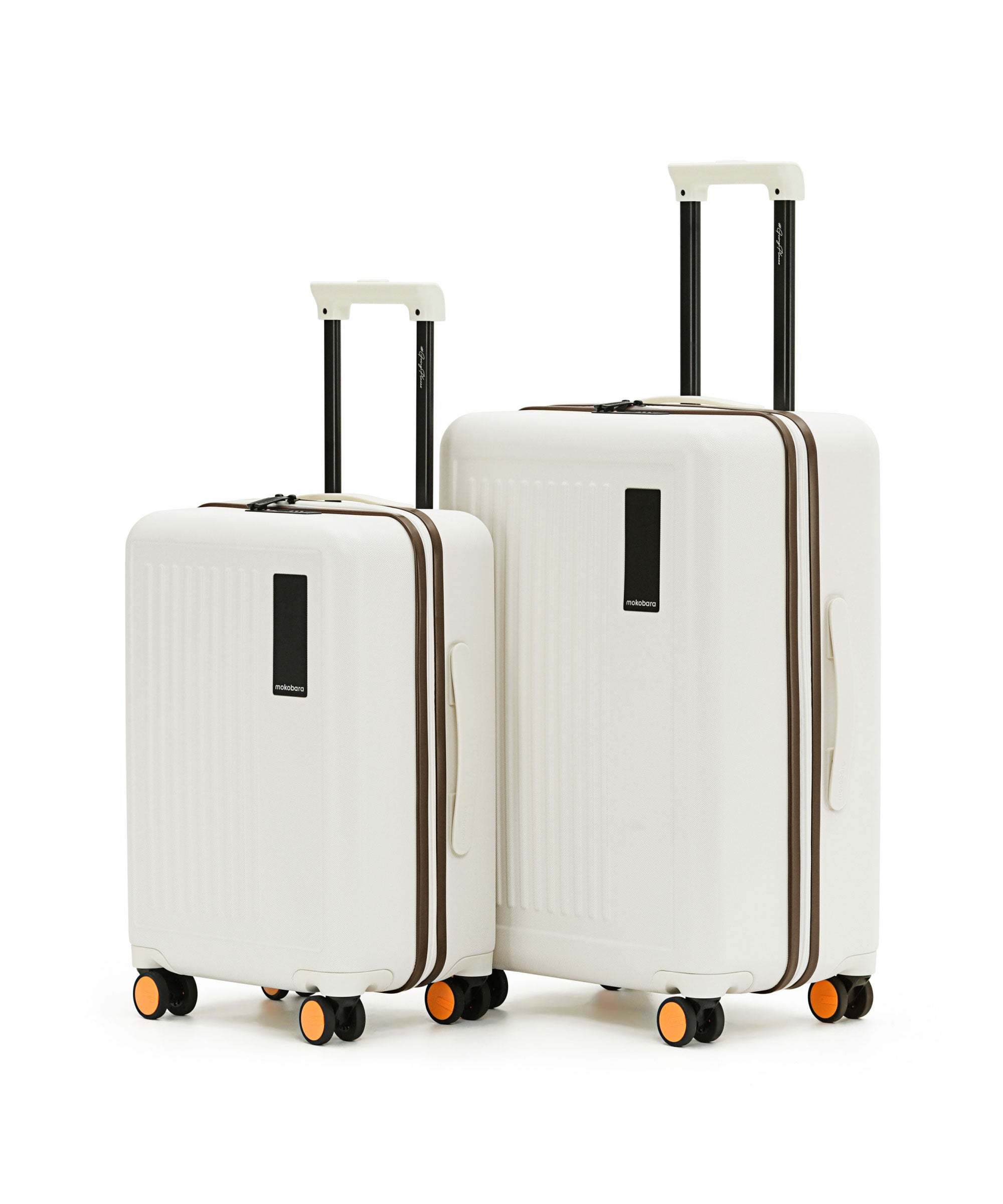 Transit Luggage - Set of 2