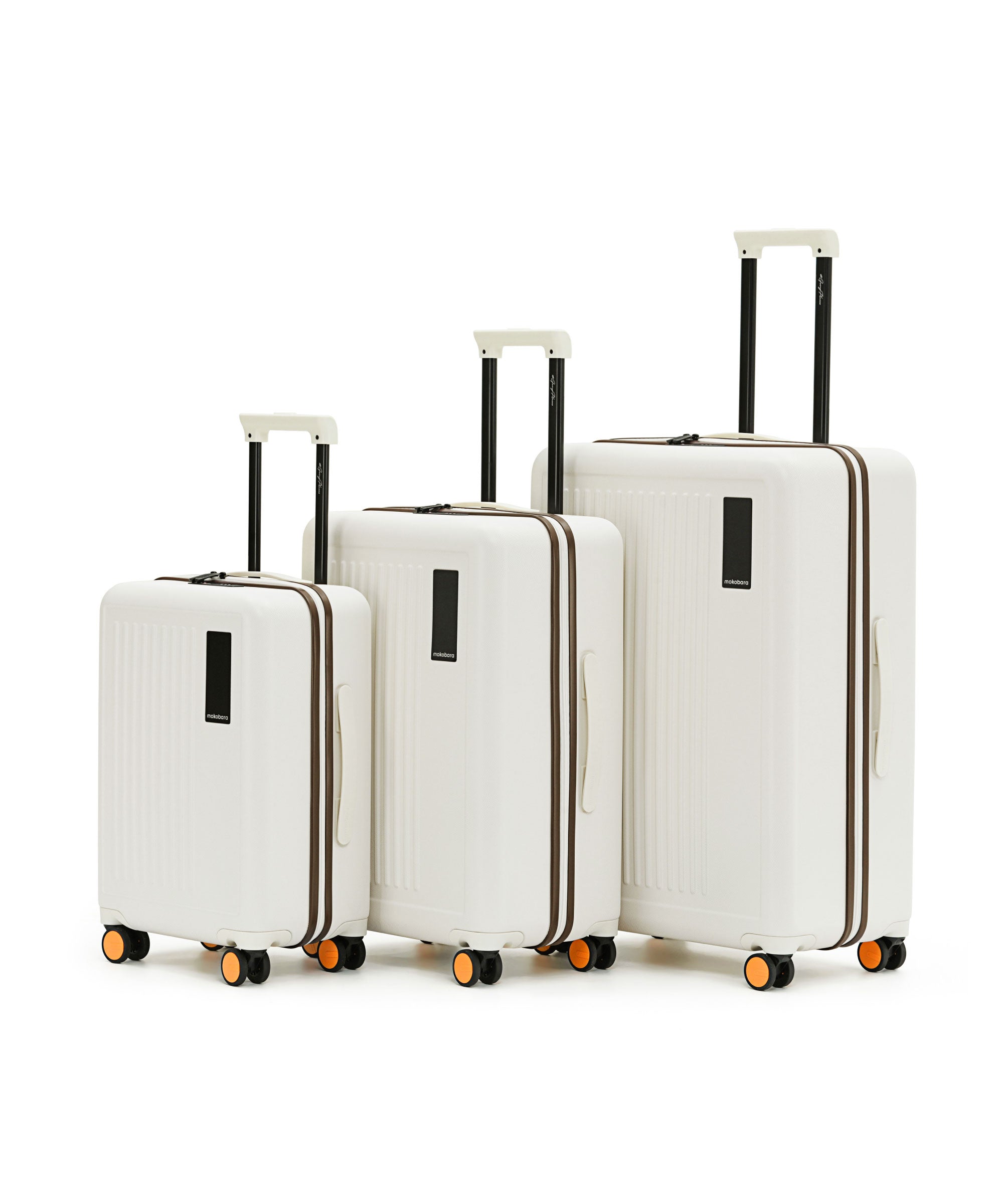 Transit Luggage - Set of 3