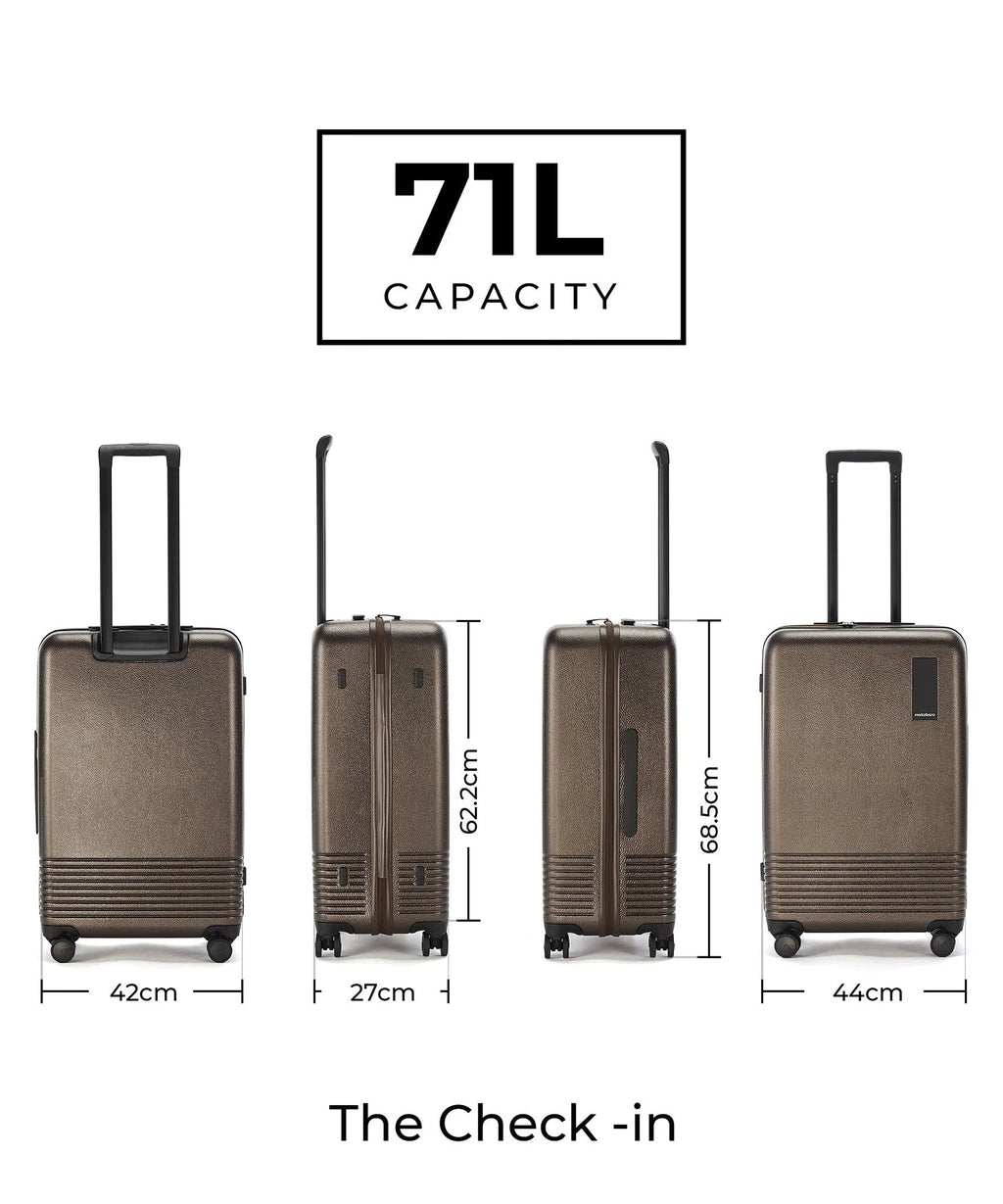 Set of 2 Luggage