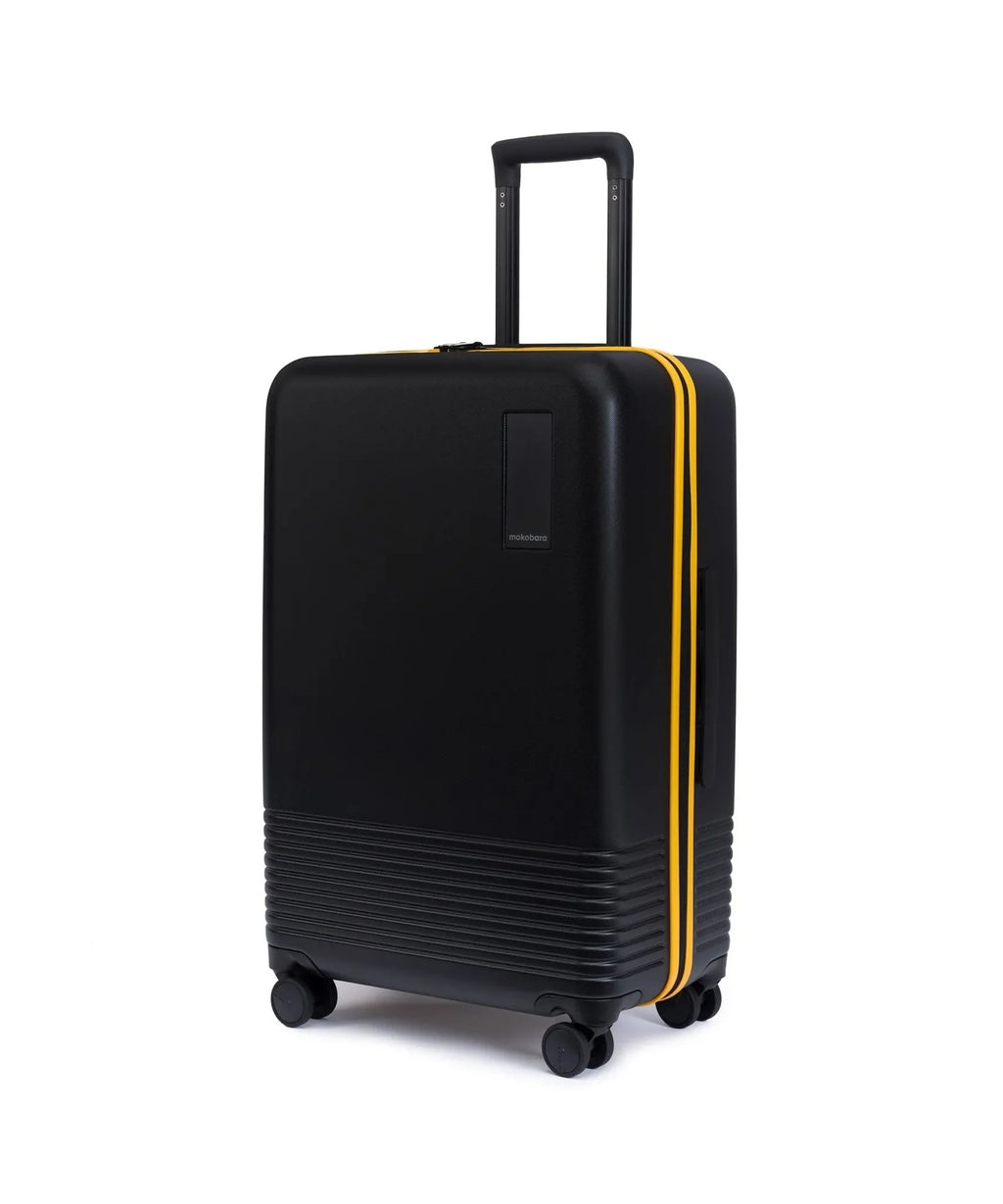Check-in Luggage
