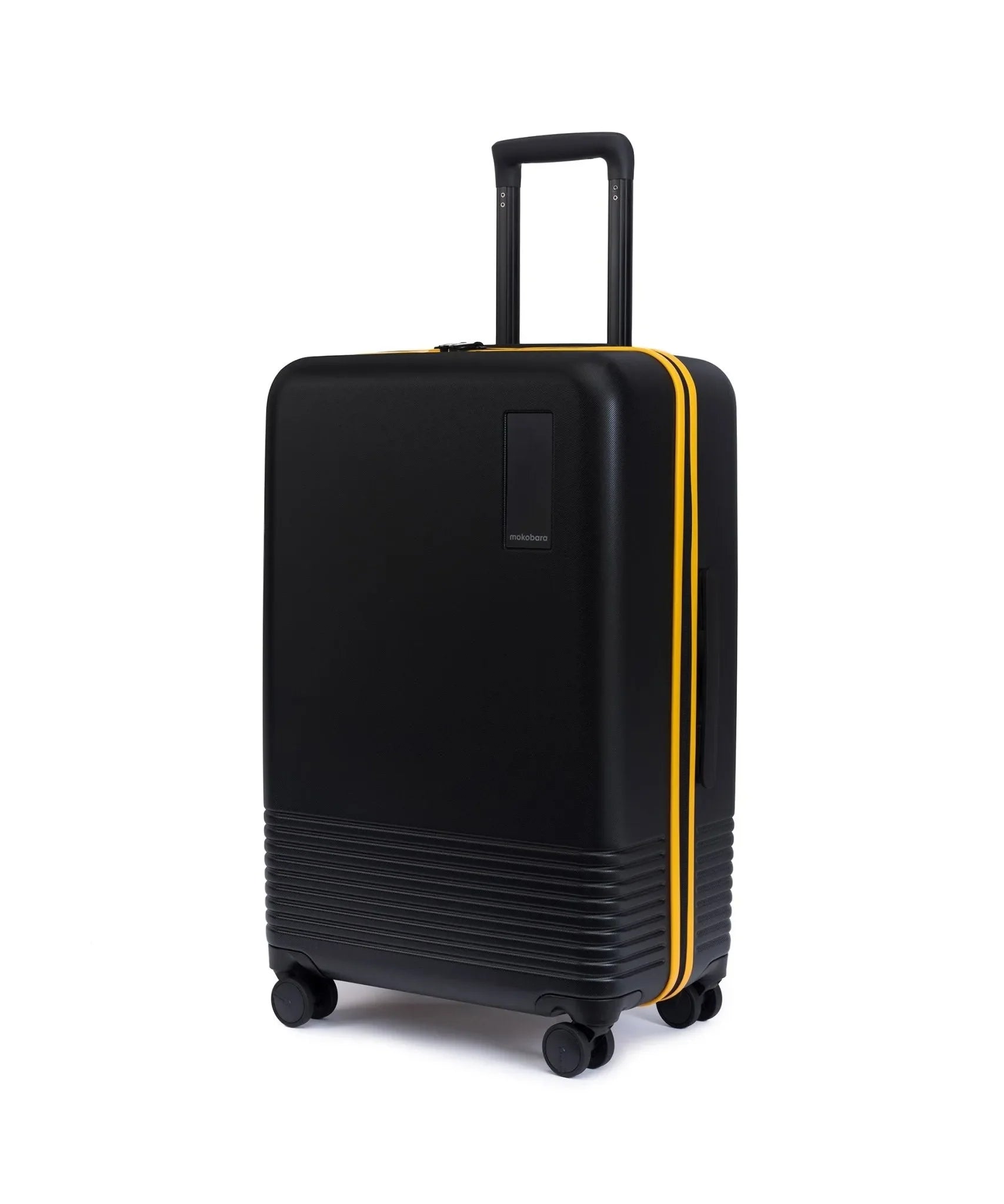 Check-in Luggage